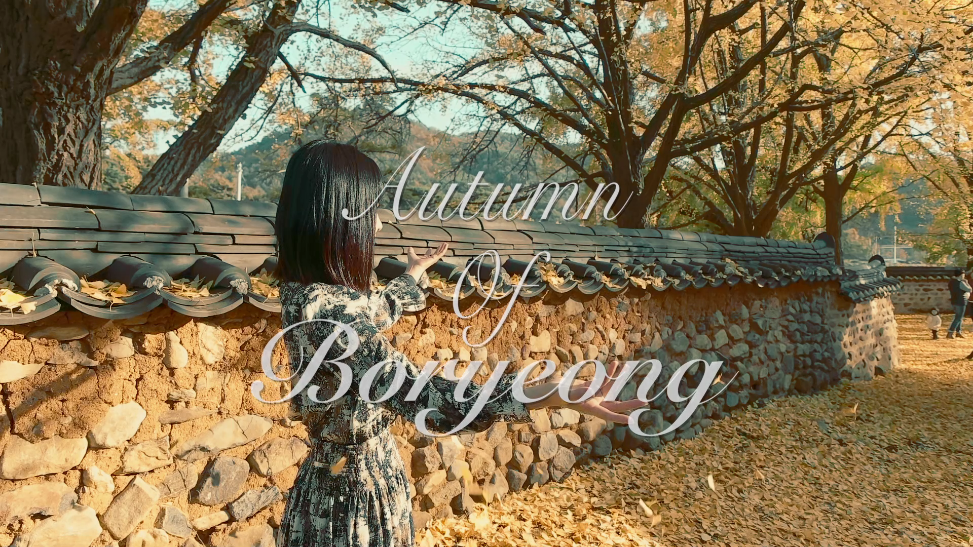 우수: 가을엔 놀러와 보령